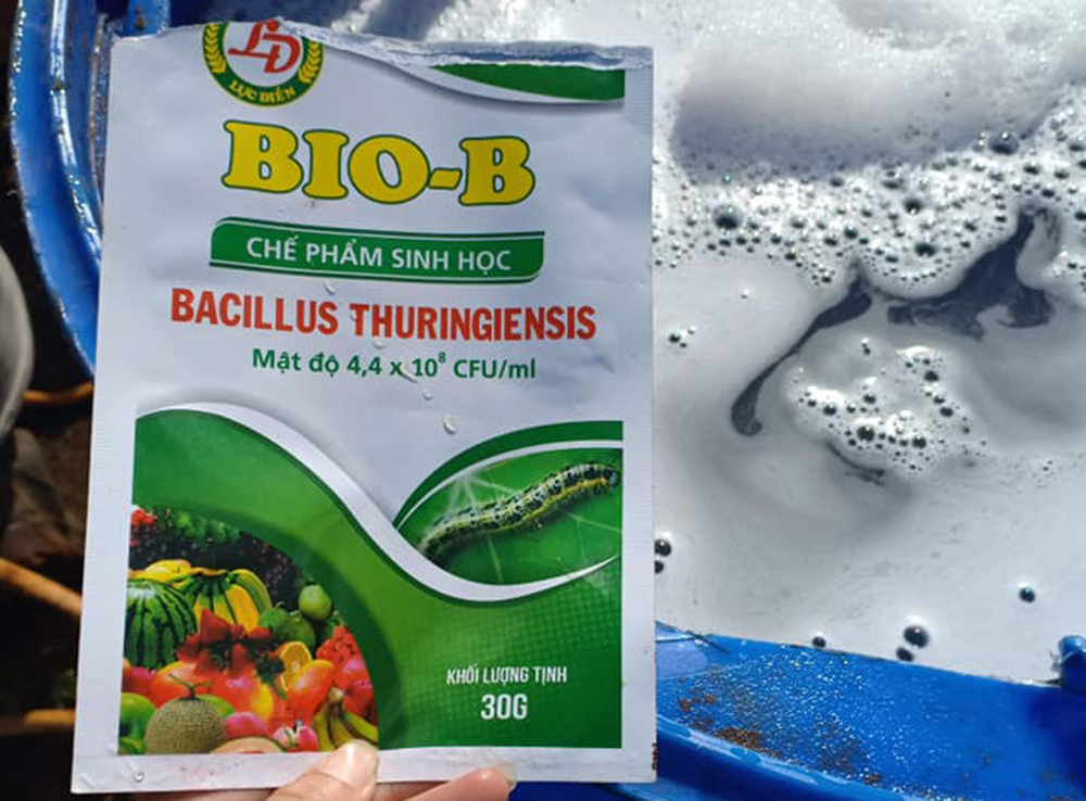 chế phẩm sinh học bacillus thuri