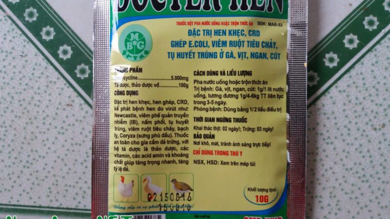 DOCTER HEN: Trị hen khẹc, CRD ghép E.coli
