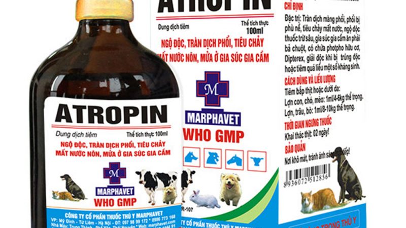 ATROPIN: Dung dịch tiêm trị ngộ độc, tràn dịch phổi