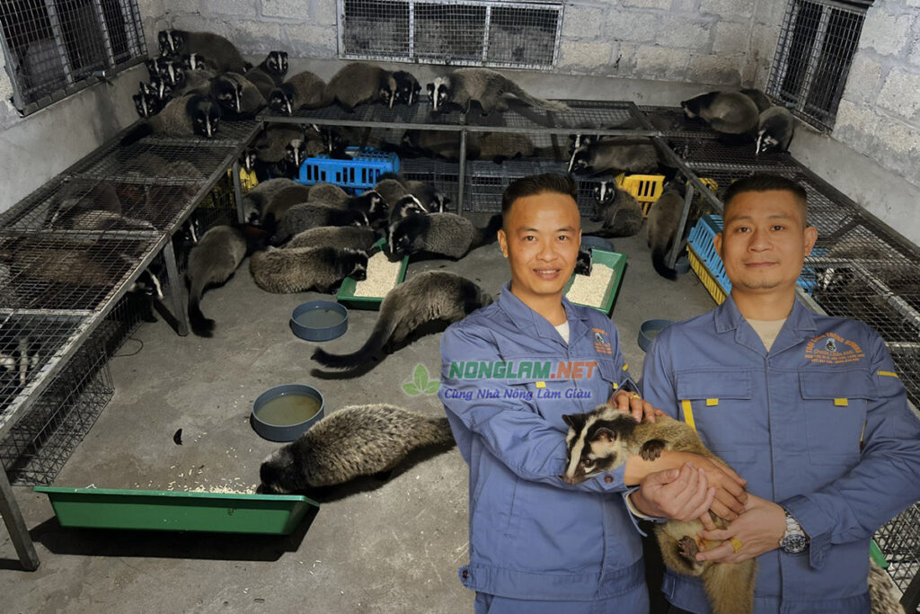 Con Don họ nhà Nhím, Hình ảnh con Don - NongLam.NET